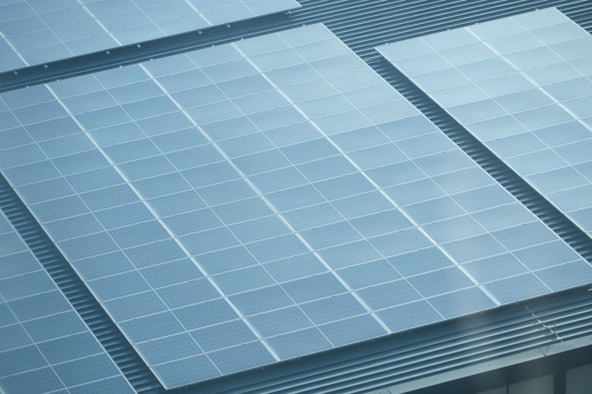 Paneles solares montados sobre estructura metálica
