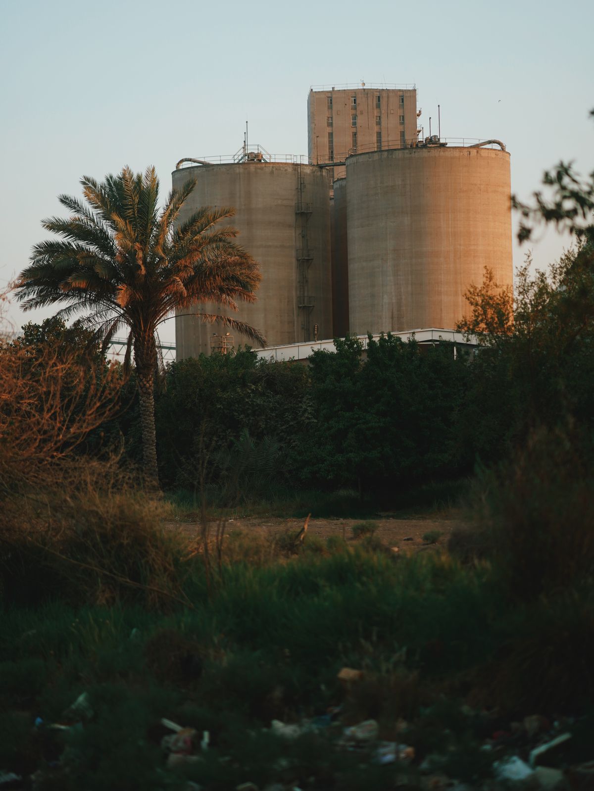 Grain storage silos